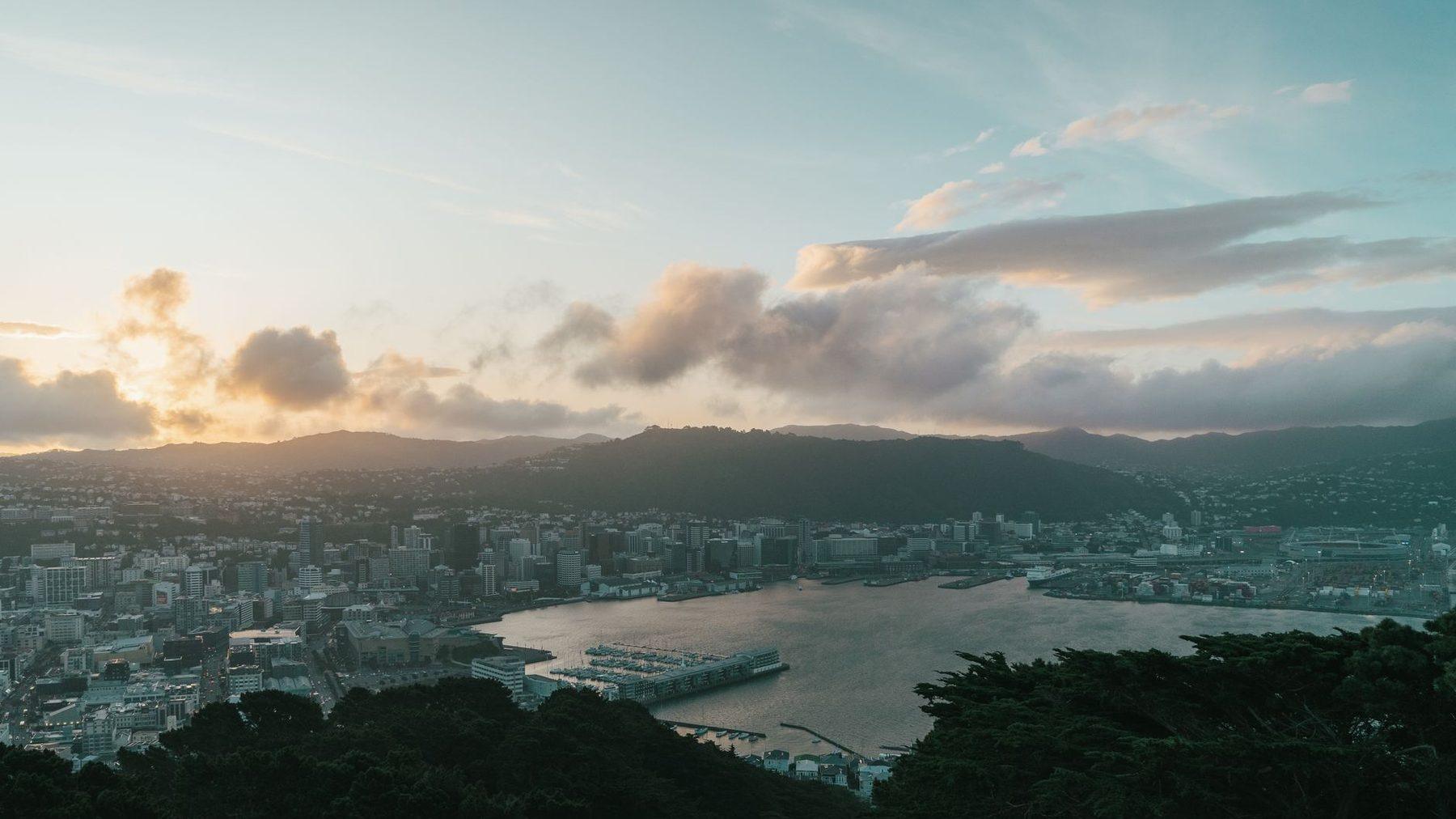 The harbour looking towards Matiu / Somes Island
