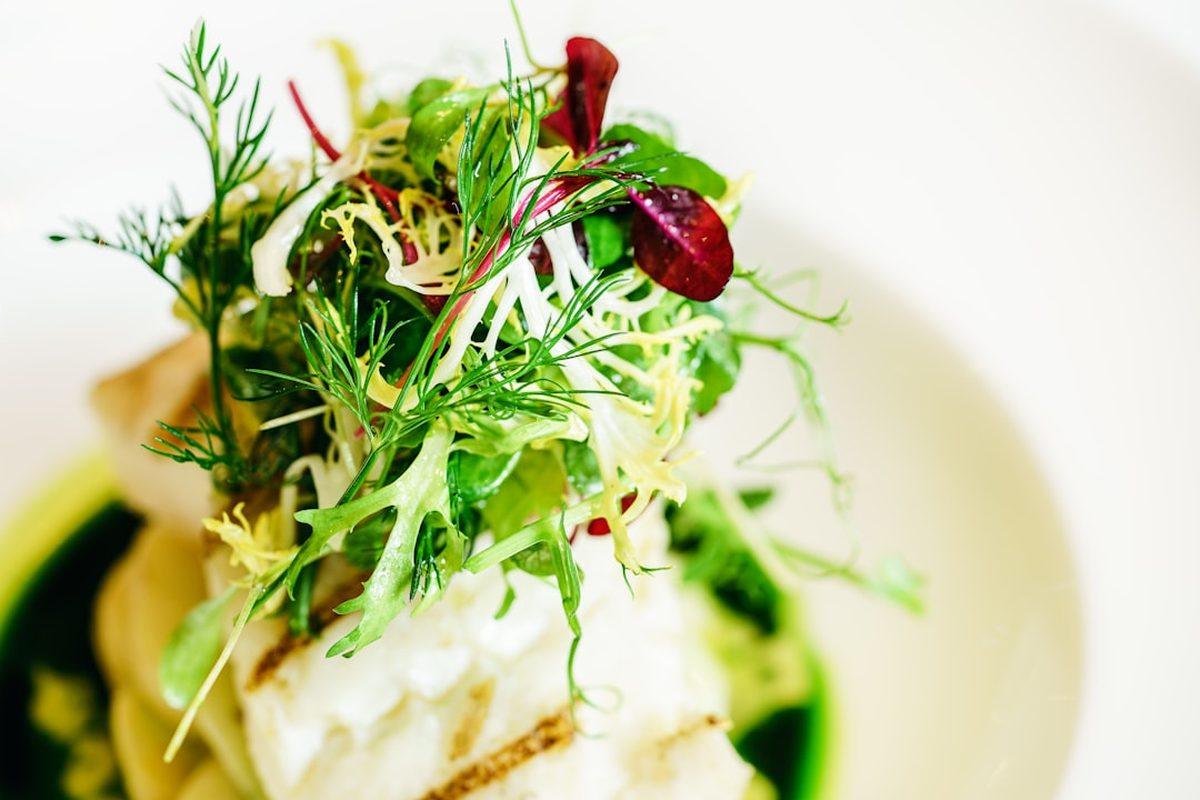 A plated dish at Roseneath