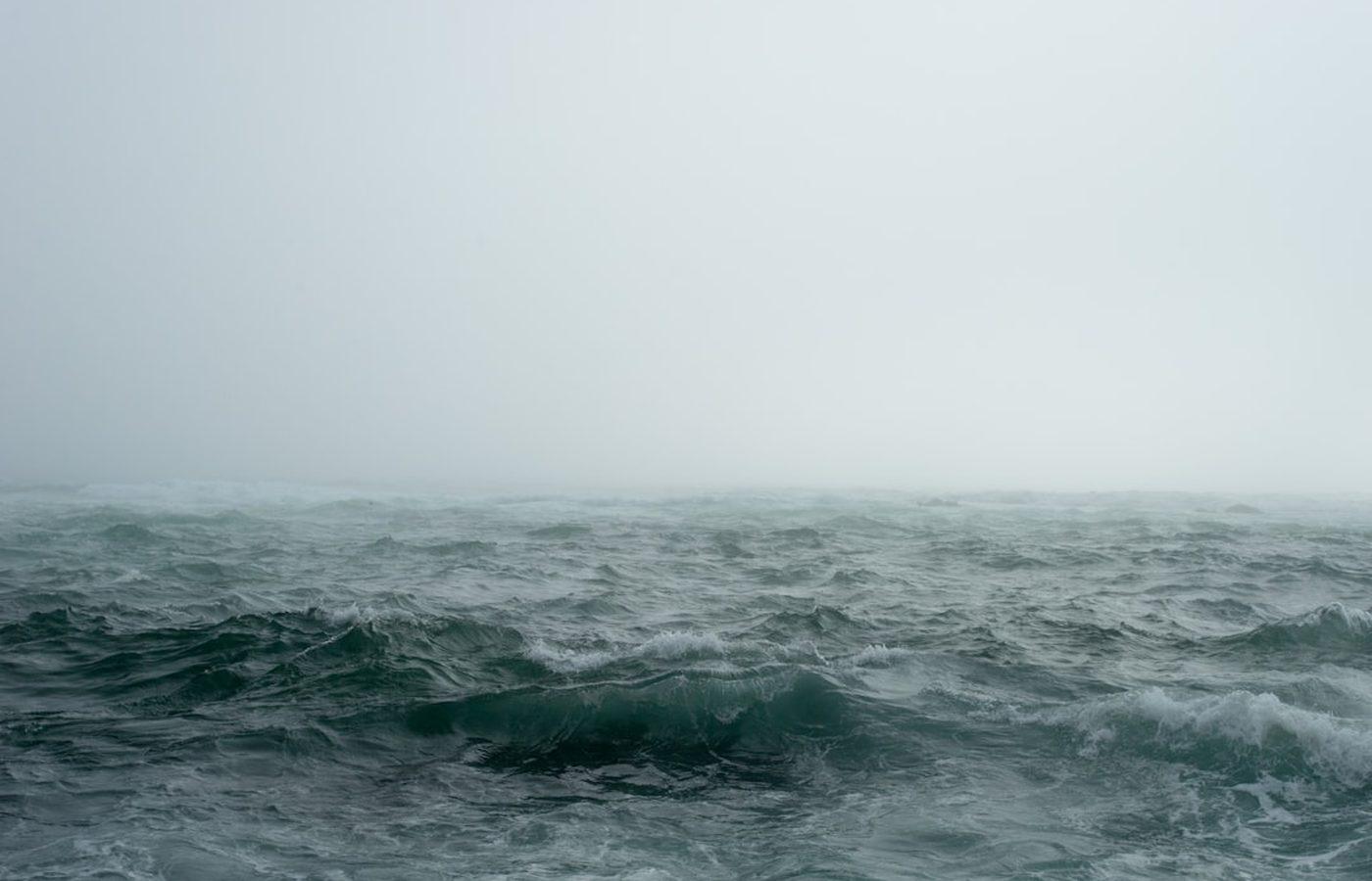 A southerly blowing up the harbour